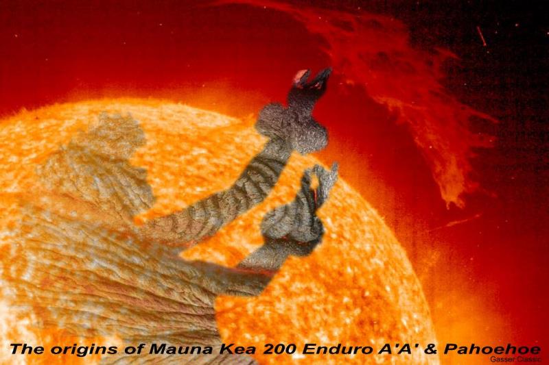 mk200fantasy033.jpg