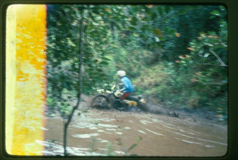 mk2001981013.jpg