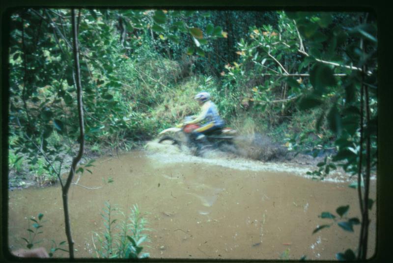 mk2001981019.jpg