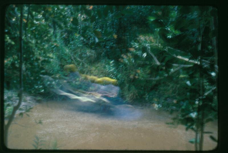 mk2001981020.jpg