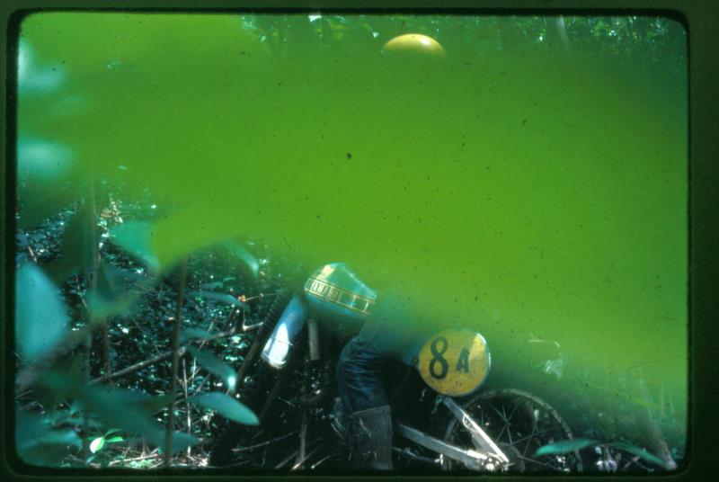 mk2001981034001.jpg