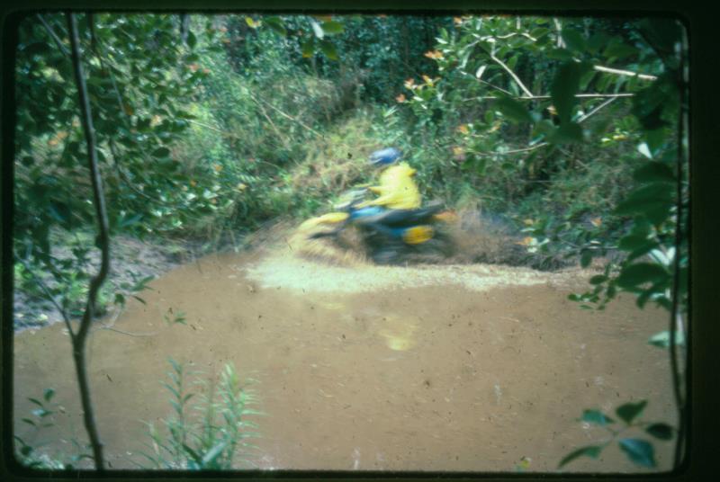 mk2001981034002.jpg
