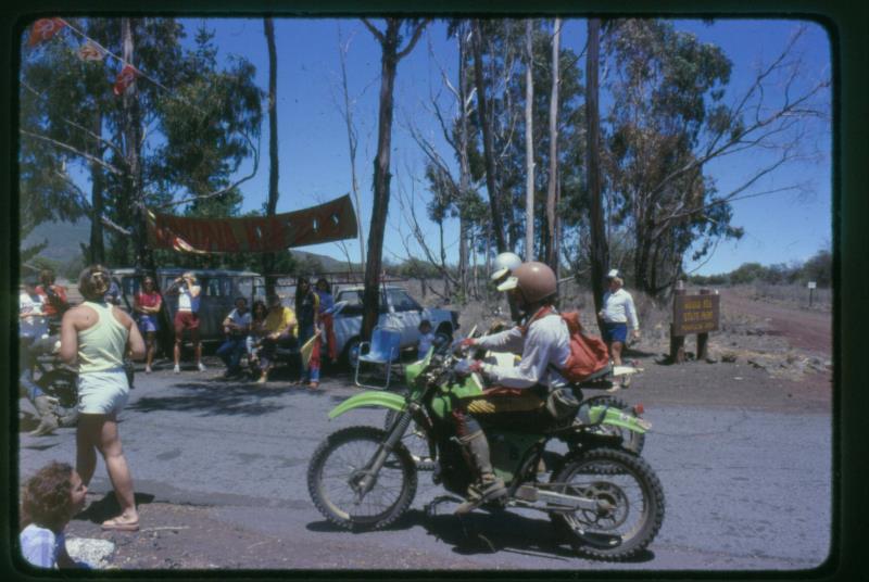 mk2001981074.jpg