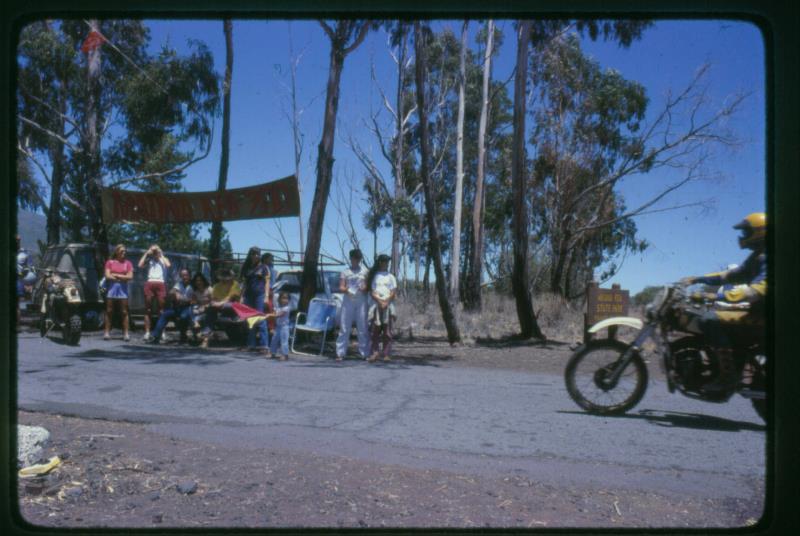 mk2001981081.jpg