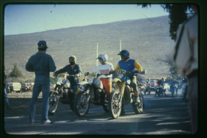mk2001981083.jpg